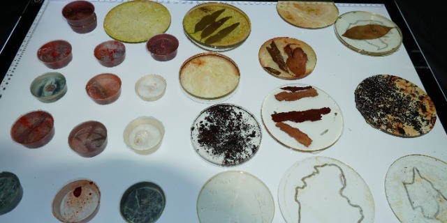 Science Show Coasters web.jpg